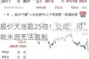 股价大涨超25倍！公司：可能永远无法盈利