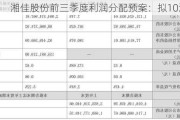 湘佳股份前三季度利润分配预案：拟10派2元