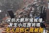 大鹏所城南门城墙发生小范围坍塌：无人员伤亡