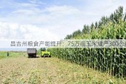 昌吉州粮食产能提升：75万亩玉米增产300公斤