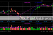 光大期货：11月11日软商品日报