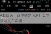 A股巨头，盘中突然闪崩！公司紧急发布声明