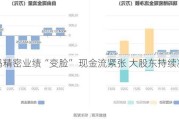 瑞玛精密业绩“变脸” 现金流紧张 大股东持续减持