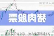 猪肉股逆势上涨，神农集团涨逾6%