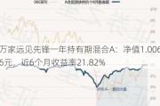 万家远见先锋一年持有期混合A：净值1.0066元，近6个月收益率21.82%