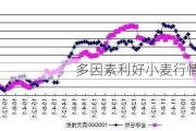 多因素利好小麦行情阶段反弹