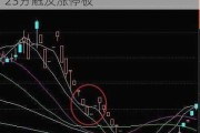 若羽臣（003010）：7月10日13时23分触及涨停板