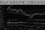 抛大额减持计划 吉林化纤第二大股东欲高位套现