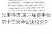 兄弟科技:第六届董事会第十三次会议决议公告