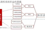 商品期权系统的运作原理