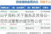 山子高科:关于股东及其母公司司法重整的提示性公告