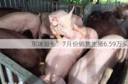 东瑞股份：7月份销售生猪6.59万头