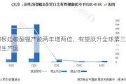 阿根廷碳酸锂产能两年增两倍，有望跃升全球第三大锂生产国