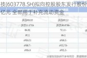 国晟科技(603778.SH)拟向控股股东发行股份募资不超5.63亿元 全部用于补充流动资金