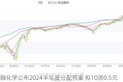 华融化学公布2024半年度分配预案 拟10派0.5元