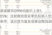 诺诚健华(09969)股价上涨5.05%：注射用坦昔妥单抗拟纳入优先审评，适应症为复发或难治性DLBCL