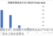 金猪玉叶：微短剧市场规模预计2027年超1000亿，成本上涨收益降低