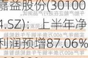 嘉益股份(301004.SZ)：上半年净利润预增87.06%-99.32%