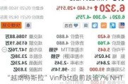 “越南特斯拉”VinFast盘前跌逾7% NHTSA针对撞车事故展开调查