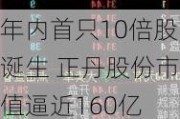 年内首只10倍股诞生 正丹股份市值逼近160亿