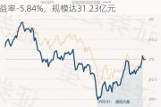 嘉实品质回报混合：净值下跌0.66%，近1个月收益率-5.84%，规模达31.23亿元