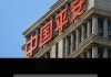 中国平安(02318)：2024年度长期服务计划尚未实施购股