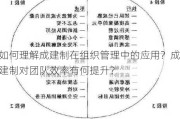 如何理解成建制在组织管理中的应用？成建制对团队效率有何提升？