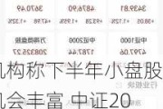 机构称下半年小盘股机会丰富 中证2000指数强势上涨 北鼎股份、旗天科技等涨停