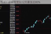 业绩为王！这股预增后12天暴涨近80%