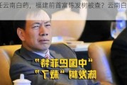 辞任云南白药，福建前首富陈发树被查？云南白药回应