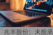 兆丰股份：未按承诺向股东实施现金分红被浙江证监局出具警示函