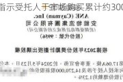 安能物流指示受托人于市场购买累计约300万股股份