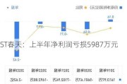 ST春天：上半年净利润亏损5987万元