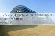 万方人才（872813）：拟通过设立在毛里求斯的全资子公司Afriventure Investment Ltd在威海投资设立公司