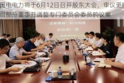 国电电力将于6月12日召开股东大会，审议更换公司部分董事并调整专门委员会委员的议案