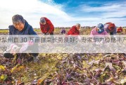 伊犁州直 30 万亩甜菜长势良好：专家助力稳糖丰产丰收