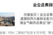 青岛金能：PDH 二期投产延至 6 月中旬，需求偏弱