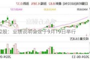 南山控股：业绩说明会定于9月19日举行