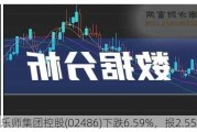 普乐师集团控股(02486)下跌6.59%，报2.55元/股