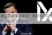 欧盟正在瞄准马斯克？据称X公司已成下一个被盯上的目标