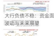 大行负债不稳：资金面波动与未来展望