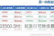 祥和实业(603500.SH)：拟发行可转债募资不超过4.5亿元