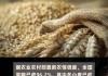 夏粮已收 96.2%：全国夏播粮食已播 83.1%