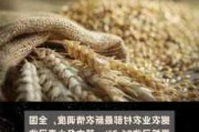 夏粮已收 96.2%：全国夏播粮食已播 83.1%