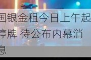 国银金租今日上午起停牌 待公布内幕消息