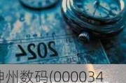 神州数码(000034.SZ)：截止6月20日，公司股东户数为81021