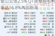 金山云涨2.5% Q1调整后毛利率达16.8%再创新高