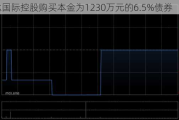 信达国际控股购买本金为1230万元的6.5%债券