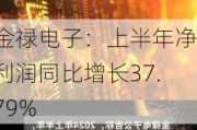 金禄电子：上半年净利润同比增长37.79%