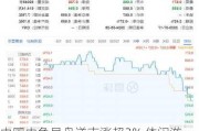 中国中免早盘逆市涨超3% 休闲游消费需求韧性持续得到验证